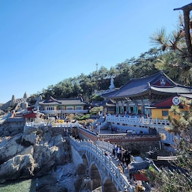 Busan: Gamcheon Village and Haeundae Blueline Park Tour