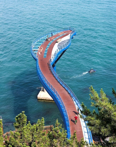 Picture 7 for Activity Busan: Gamcheon Village and Haeundae Blueline Park Tour
