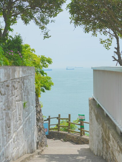 Picture 22 for Activity Busan: Gamcheon Village and Haeundae Blueline Park Tour