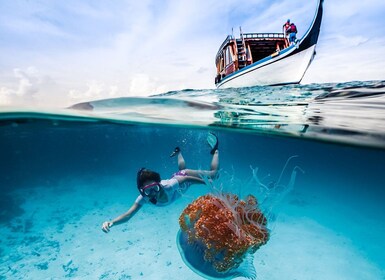 Bali: Ubud ATV og snorkeltur i den blå lagune med frokost