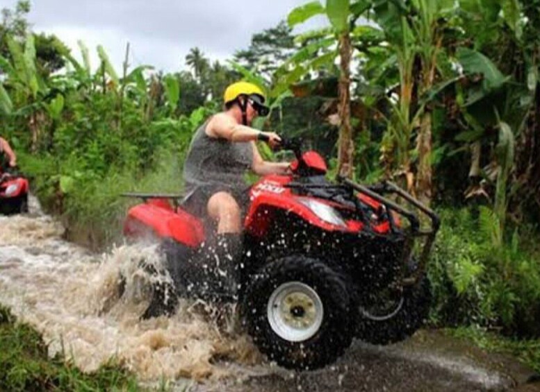 Picture 3 for Activity Bali: Ubud ATV and Blue Lagoon Snorkeling Tour with Lunch