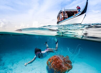 Bali Tur ATV Ubud dan Snorkeling Blue Lagoon dengan Makan Siang