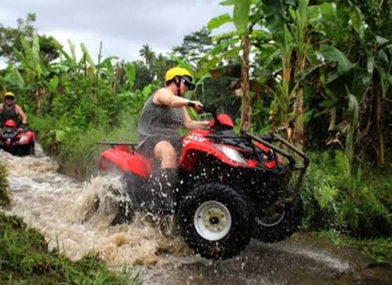 Picture 3 for Activity Bali: Ubud ATV and Blue Lagoon Snorkeling Tour with Lunch