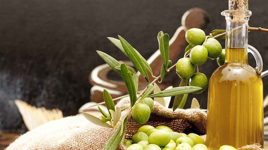 Private Olive Oil Tour & Tasting with Lunch from Katakolo