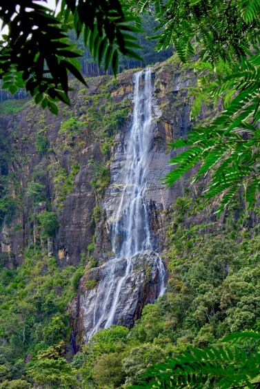 Picture 6 for Activity Ella:Bambarakanda Falls & Lanka Falls + Natural Pool Bath