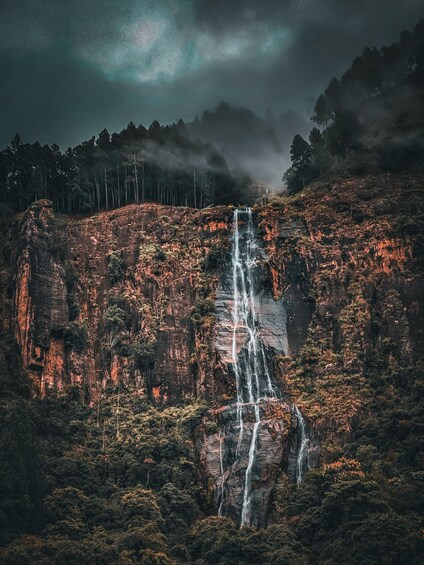 Picture 4 for Activity Ella:Bambarakanda Falls & Lanka Falls + Natural Pool Bath