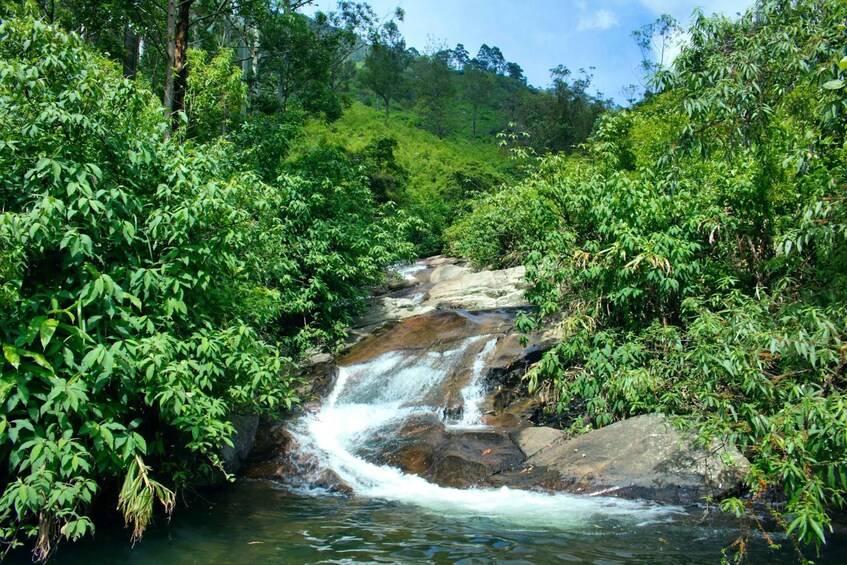 Picture 8 for Activity Ella:Bambarakanda Falls & Lanka Falls + Natural Pool Bath