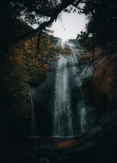 Picture 1 for Activity Ella:Bambarakanda Falls & Lanka Falls + Natural Pool Bath