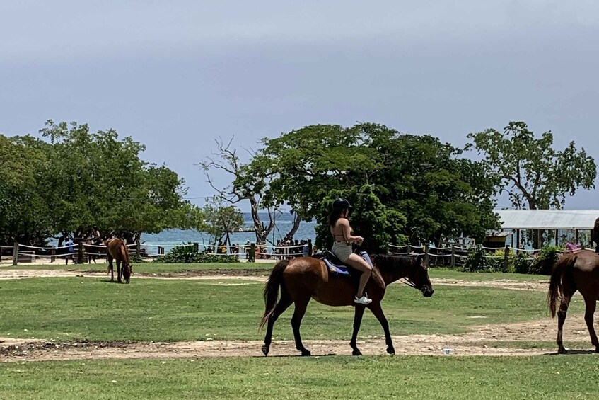 Picture 2 for Activity Montego Bay: Day Trip with Zipline, ATV, and Horseback Ride