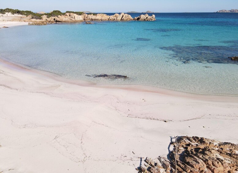 Picture 4 for Activity La Maddalena: Archipelago Boat Tour