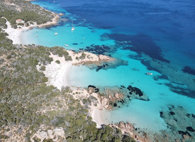 Picture 3 for Activity La Maddalena: Archipelago Boat Tour