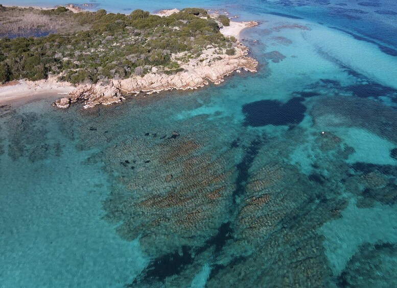 Picture 5 for Activity La Maddalena: Archipelago Boat Tour