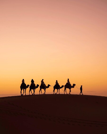 Picture 12 for Activity From Marrakech: Unforgettable 3-Day Desert Tour to Fes