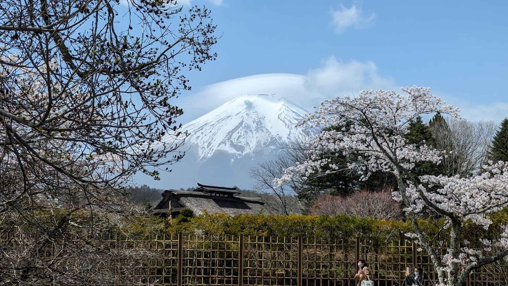 Picture 57 for Activity From Tokyo: Mt. Fuji Private Day Trip with English Guide