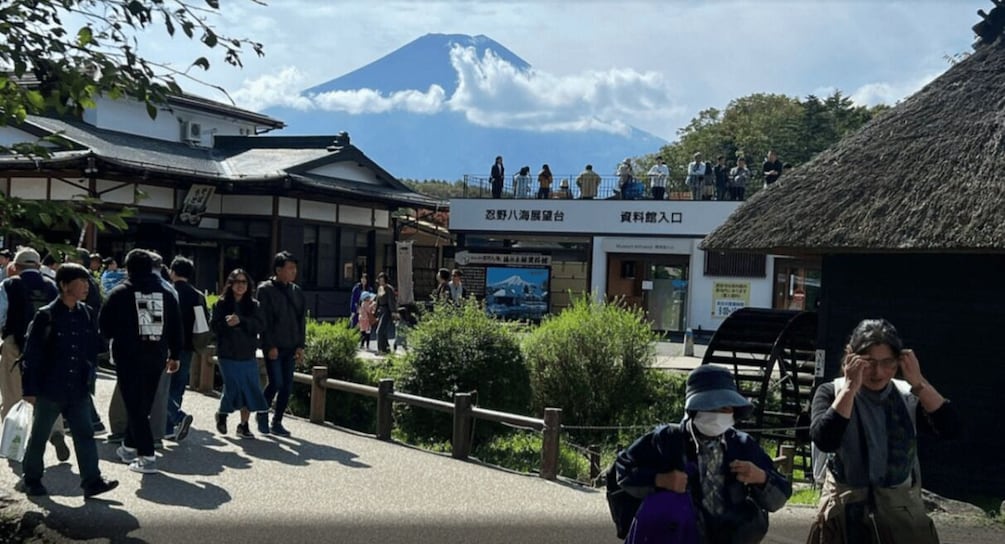 Picture 7 for Activity From Tokyo: Mt. Fuji or Hakone Sightseeing Private Day Tour