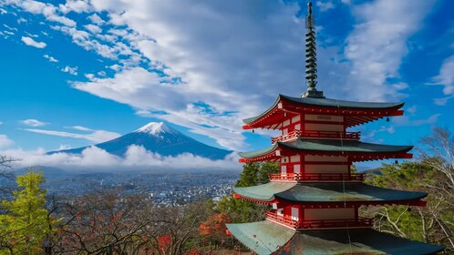 From Tokyo: Mount Fuji Sightseeing Private Day Trip