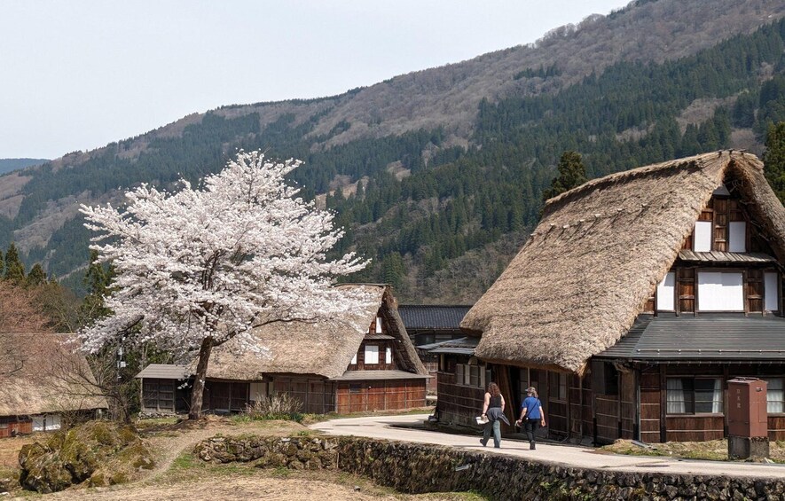 Picture 5 for Activity From Kanazawa: Shirakawa-go, Gokayama and Wood Carving art