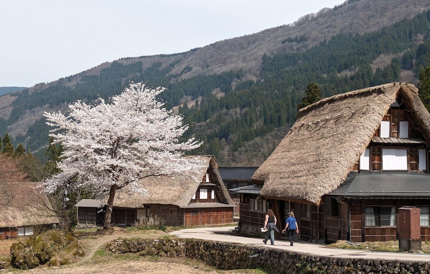 Picture 5 for Activity From Kanazawa: Shirakawa-go, Gokayama and Wood Carving art