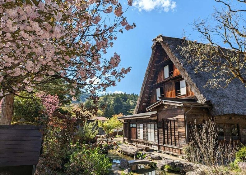 Picture 4 for Activity From Kanazawa: Shirakawa-go, Gokayama and Wood Carving art