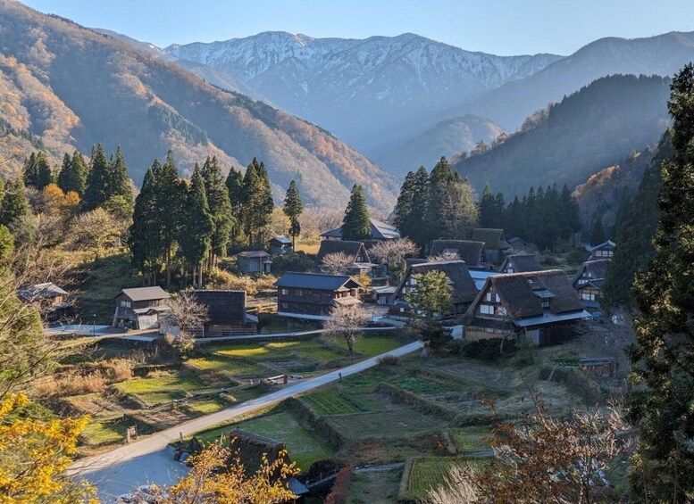 From Kanazawa: Shirakawa-go, Gokayama and Wood Carving art