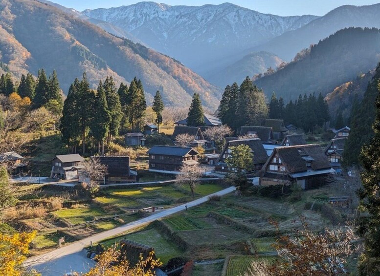 From Kanazawa: Shirakawa-go, Gokayama and Wood Carving art