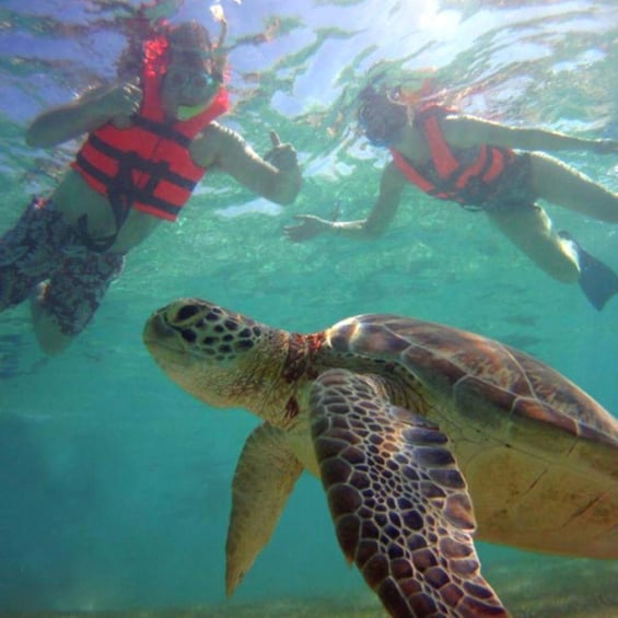 Picture 2 for Activity Tulum: Akumal Turtles,Tulum Ruins & Tankah Park Private Tour
