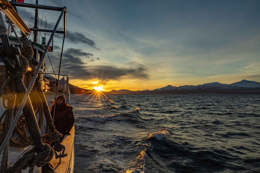 Picture 11 for Activity Tromsø: Arctic Light Evening Cruise with Fish Soup