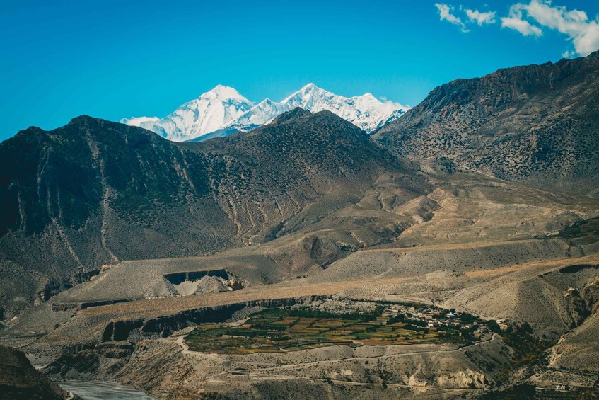 Picture 18 for Activity Pokhara: 11-Day Annapurna Circuit Guided Trek Via Tilicho