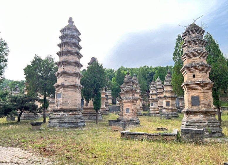 Picture 5 for Activity Luoyang Private Day Tour to Shaolin Temple&Longmen Grottoes