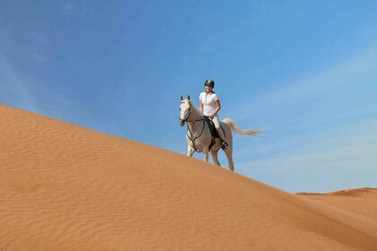 From Doha: Experience Horse Riding In Qatar Desert