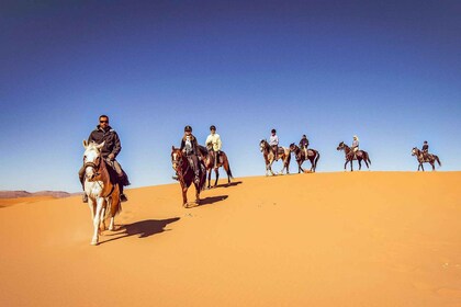 From Doha: Experience Horse Riding In Qatar Desert