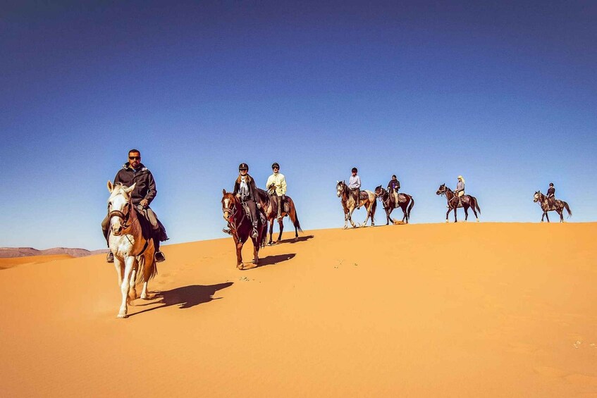 Experience Horse Riding In Qatar Desert