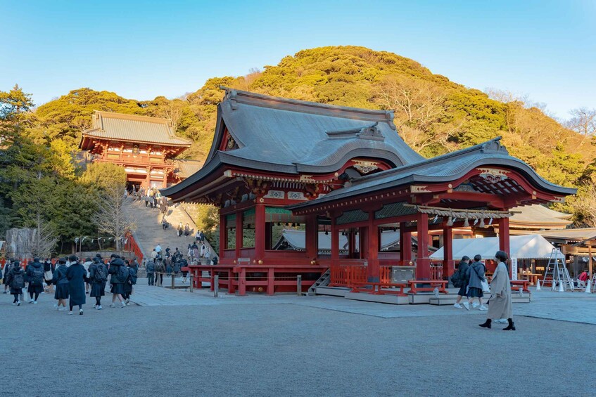 Picture 8 for Activity Kamakura: Full Day Private Tour with English Guide
