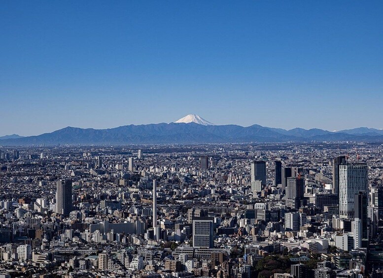 Picture 4 for Activity Tokyo: Roppongi Hills Observatory Ticket