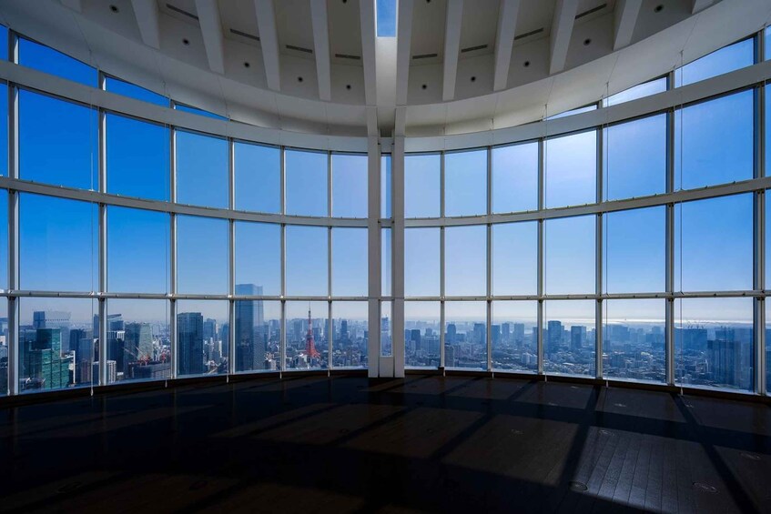 Picture 3 for Activity Tokyo: Roppongi Hills Observatory Ticket