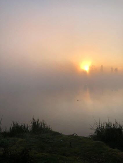 Picture 58 for Activity Mexico City: Sunrise in Xochimilco