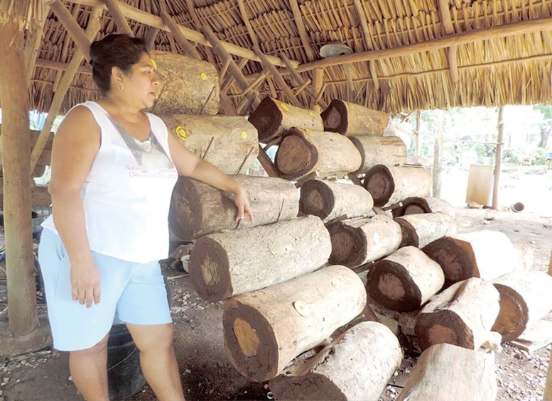 Picture 2 for Activity From Campeche: Chenes Route Guided Tour (Maya community)