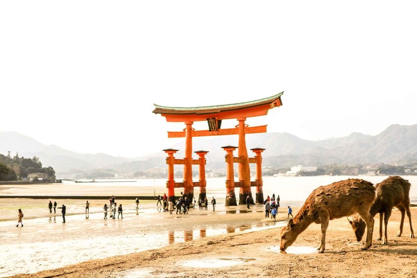 Picture 7 for Activity Hiroshima: Peace Memorial, Itsukushima and Miyajima Tour