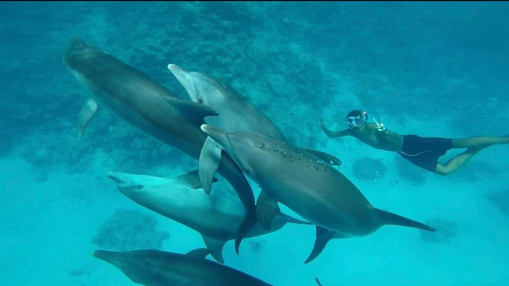 Picture 6 for Activity Hurghada: Luxury Yacht Trip with Your Own Crew and Chef