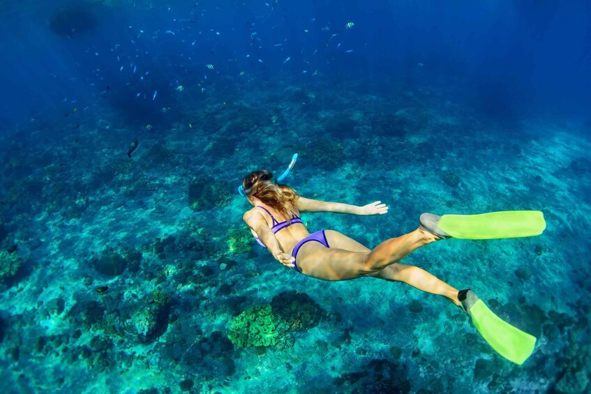 Picture 6 for Activity Bali: All-Inclusive Combo Adventure Ticket with Transfer