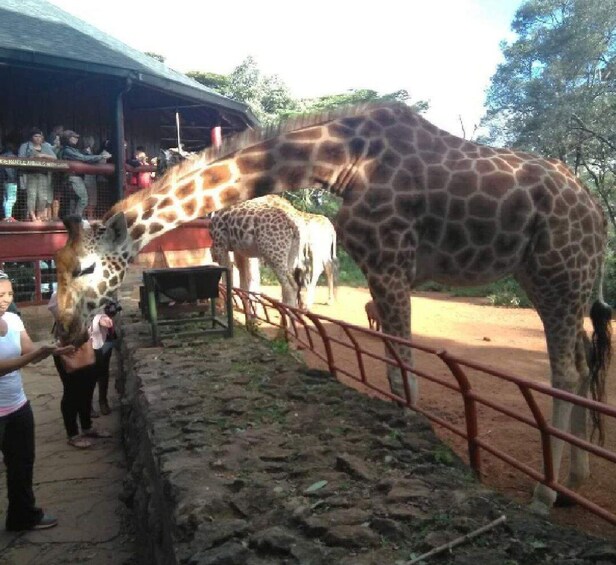 Nairobi National park