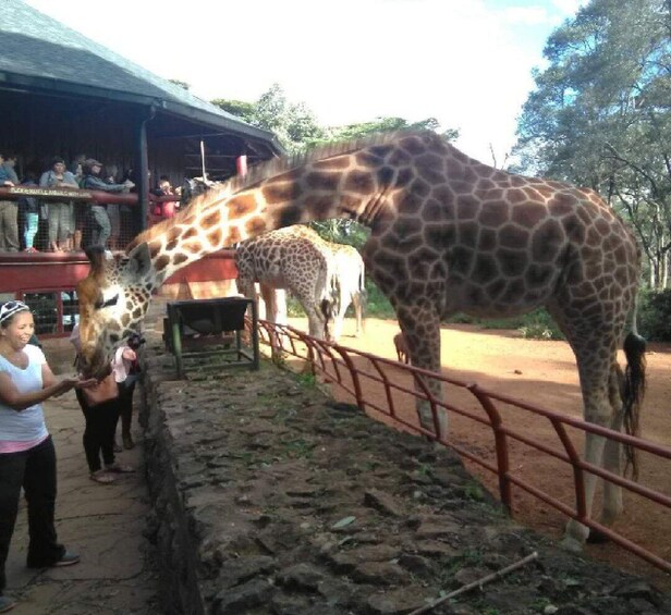 Nairobi National park