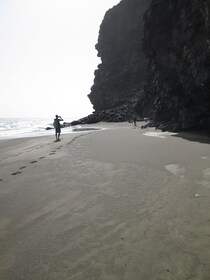 沙漠之地野生动物观光 4x4 之旅