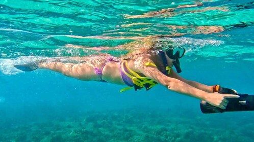 Waikiki: Monk Seal Bay Dolfijn en schildpadden Jet Snorkeltour