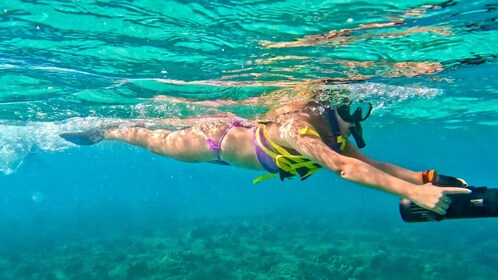 Waikiki: tour de snorkel con delfines y tortugas en jet por Monk Seal Bay