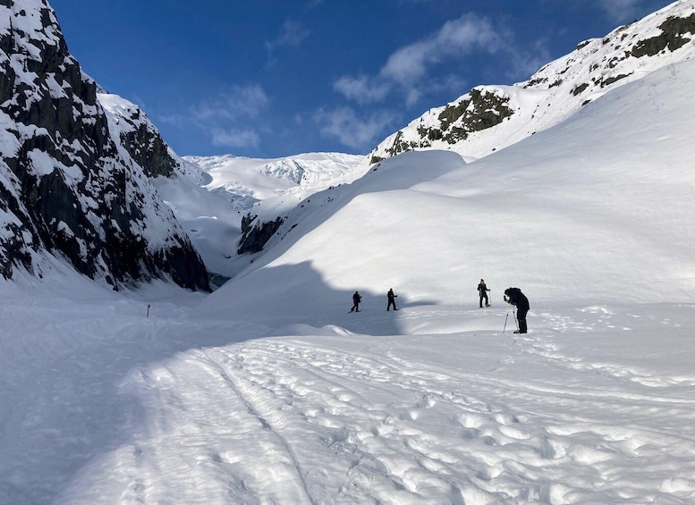 Picture 11 for Activity Snowmobile and Snowshoe Dual Adventure from Seward, AK