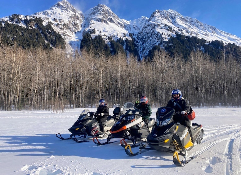 Picture 3 for Activity Snowmobile and Snowshoe Dual Adventure from Seward, AK