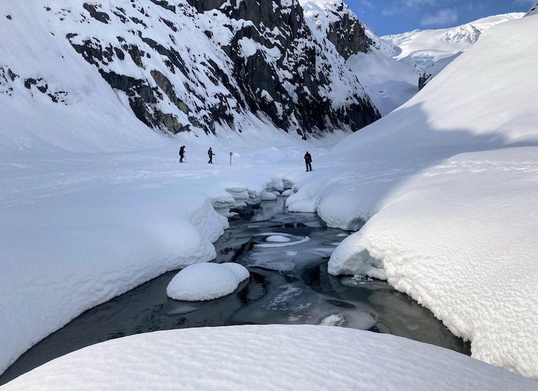 Picture 5 for Activity Snowmobile and Snowshoe Dual Adventure from Seward, AK