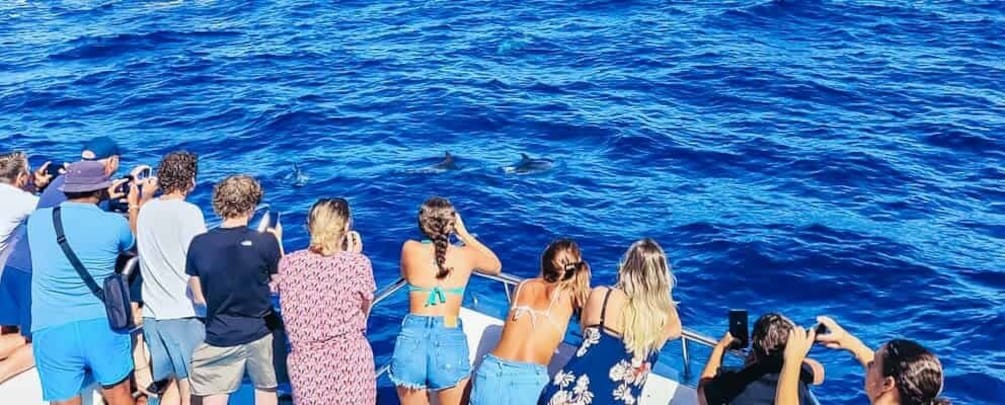 Picture 3 for Activity Gran Canaria: Catamaran Dolphin Watch Cruise with Snorkeling