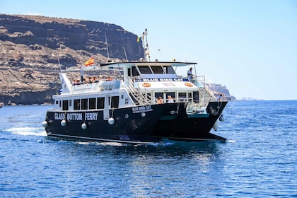 Gran Canaria: Catamaran Dolphin Watch Cruise with Snorkelling